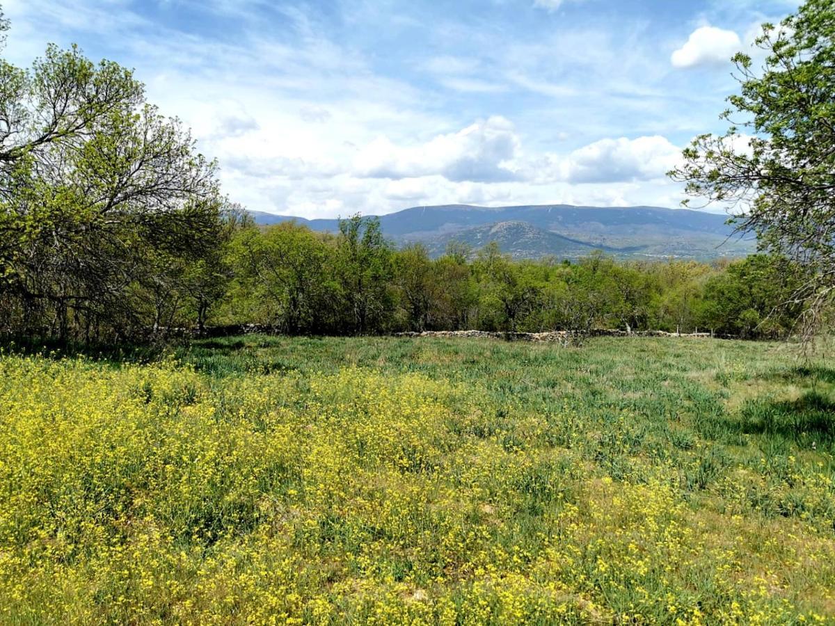 Acogedora Y Romantica Casita En La Sierra Garganta De Los Montes ภายนอก รูปภาพ