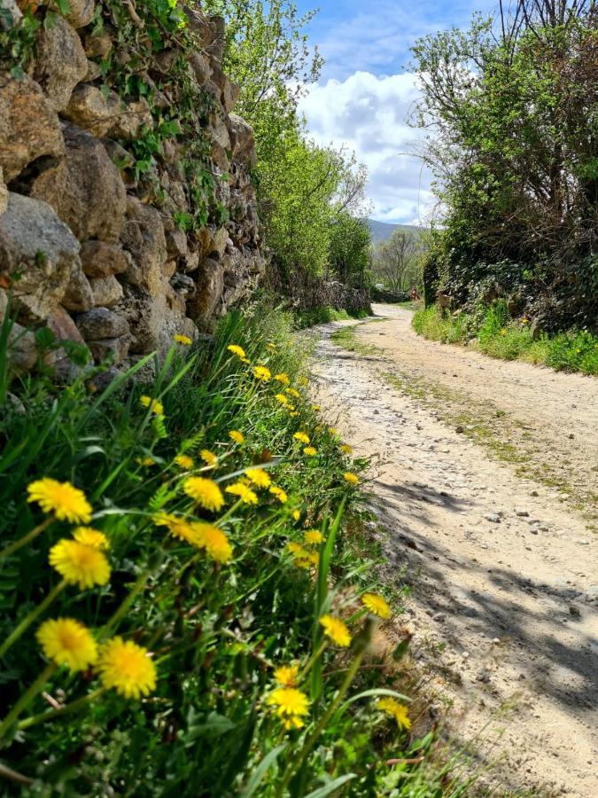 Acogedora Y Romantica Casita En La Sierra Garganta De Los Montes ภายนอก รูปภาพ