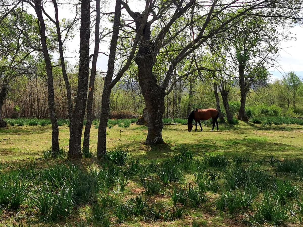 Acogedora Y Romantica Casita En La Sierra Garganta De Los Montes ภายนอก รูปภาพ